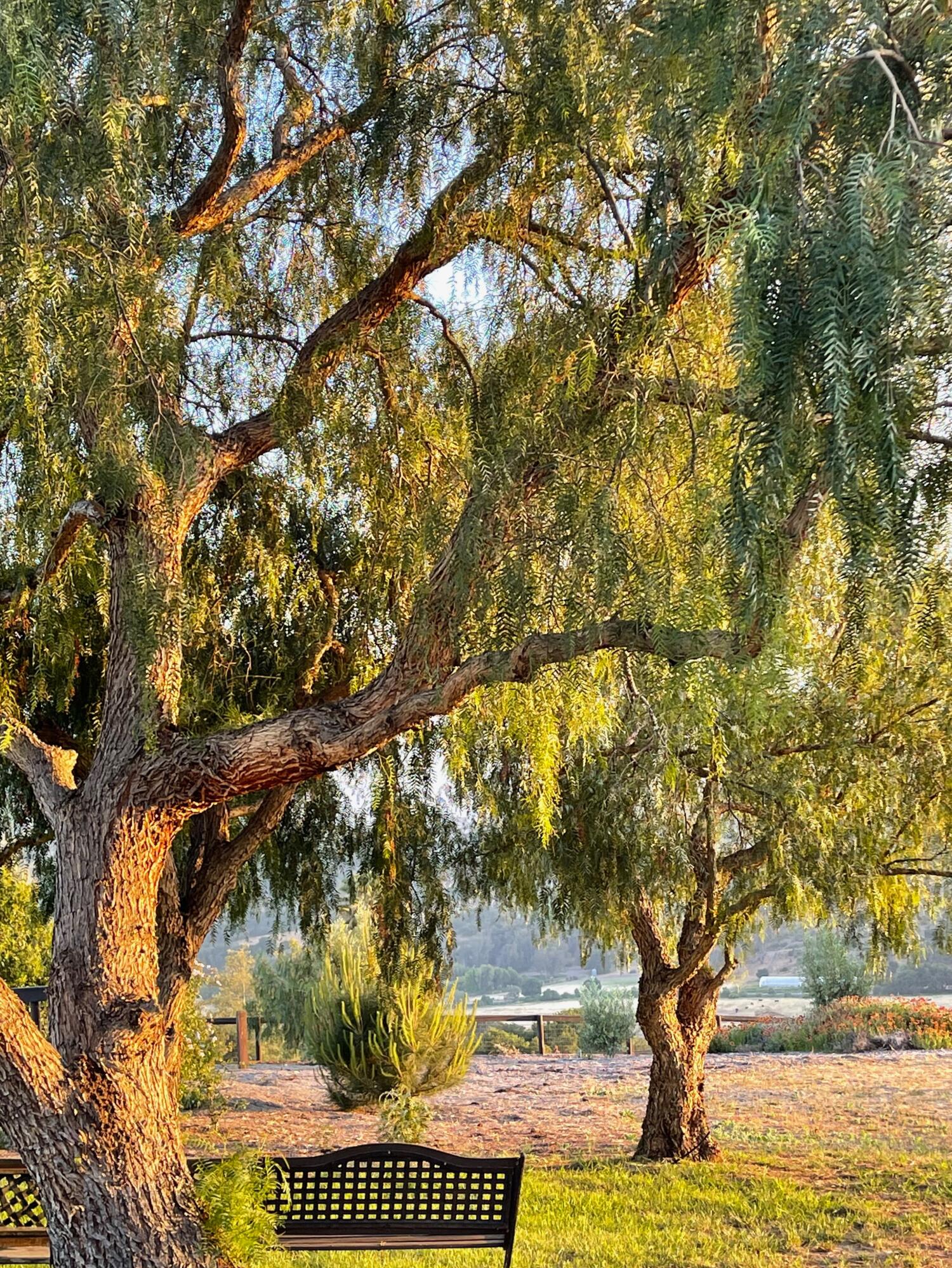 1833 Cougar Ridge Road Buellton, CA 93427 - Photo 46 of 53 8