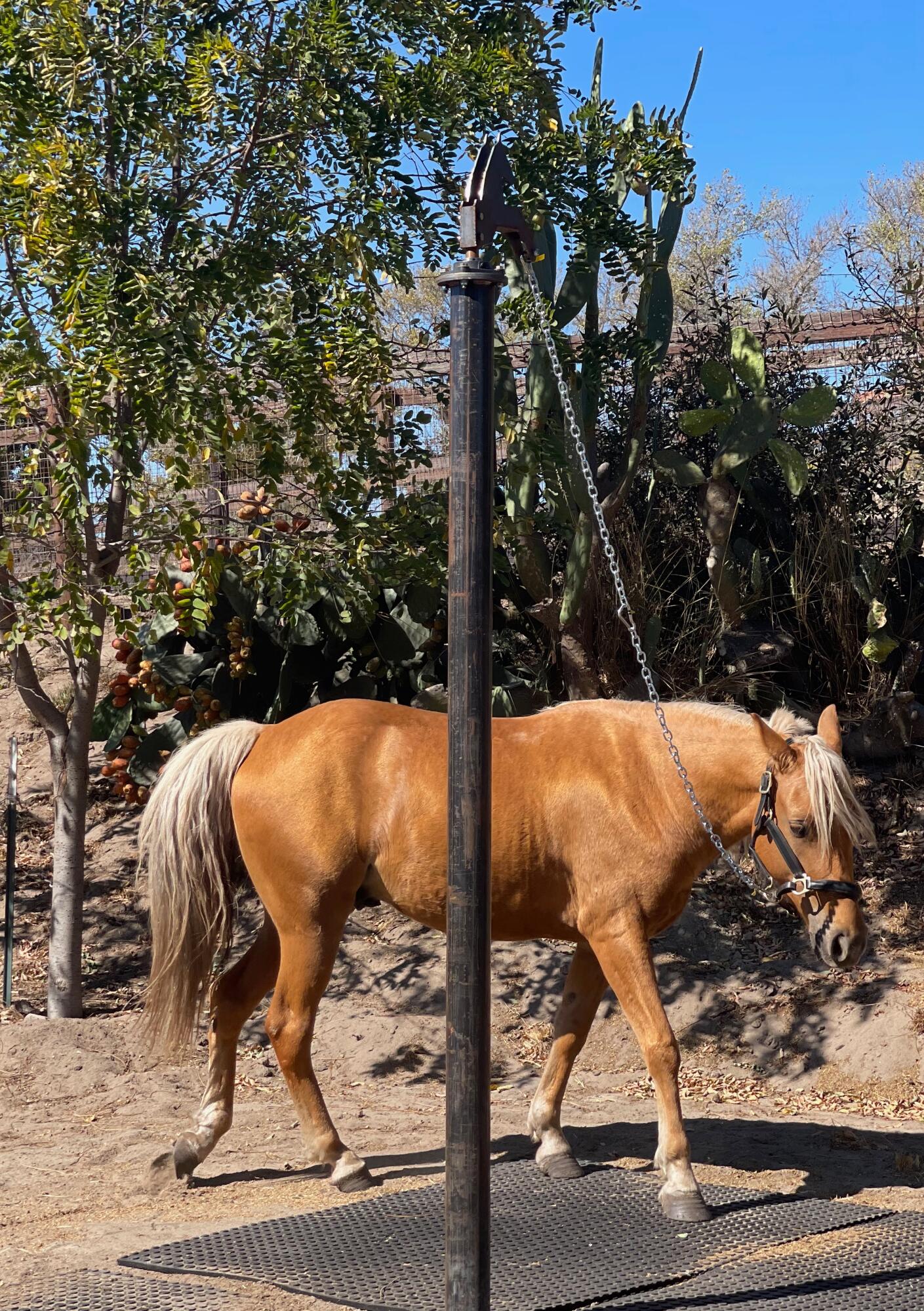 1833 Cougar Ridge Road Buellton, CA 93427 - Photo 48 of 53 10