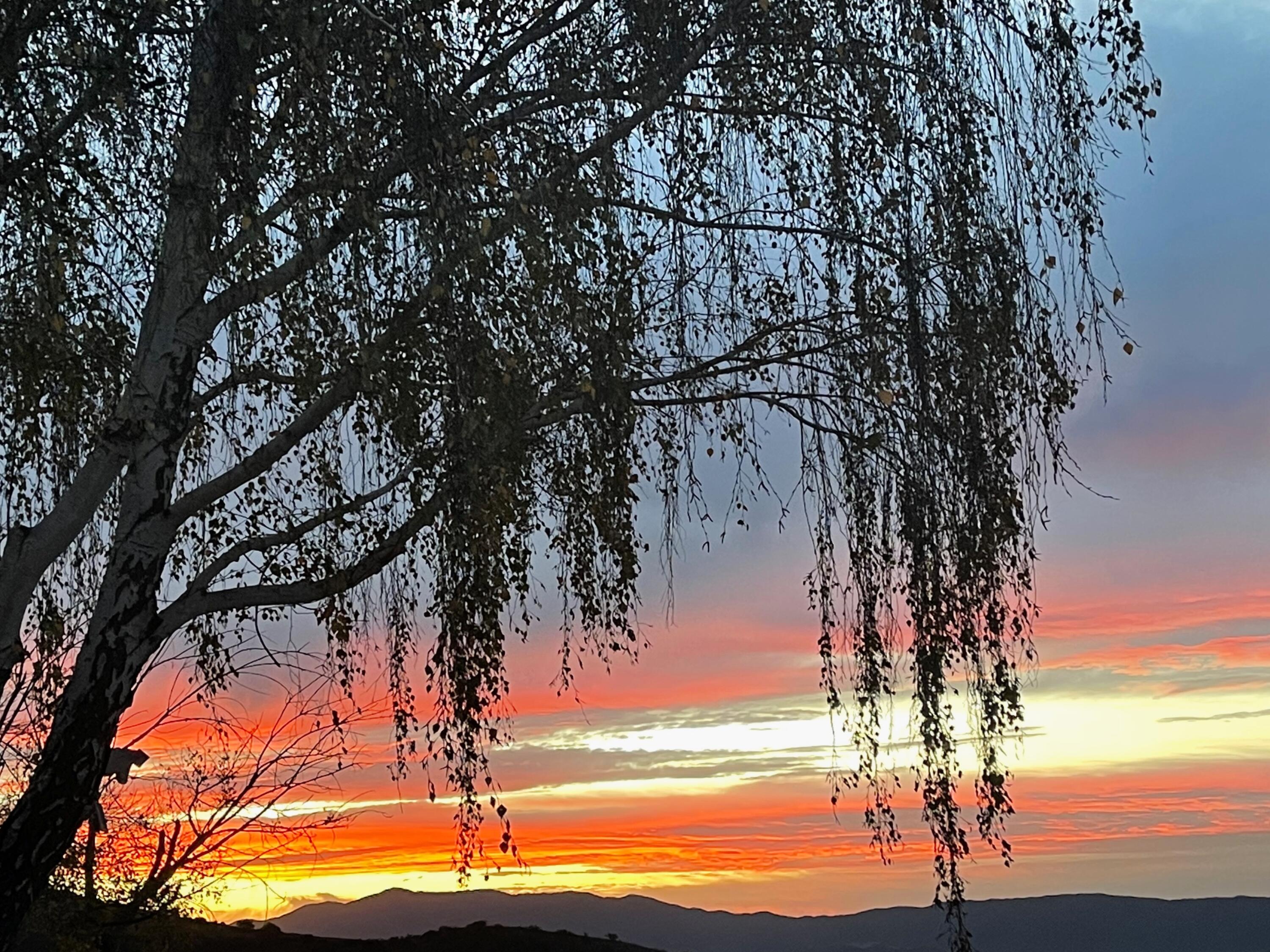 1833 Cougar Ridge Road Buellton, CA 93427 - Photo 52 of 53 14