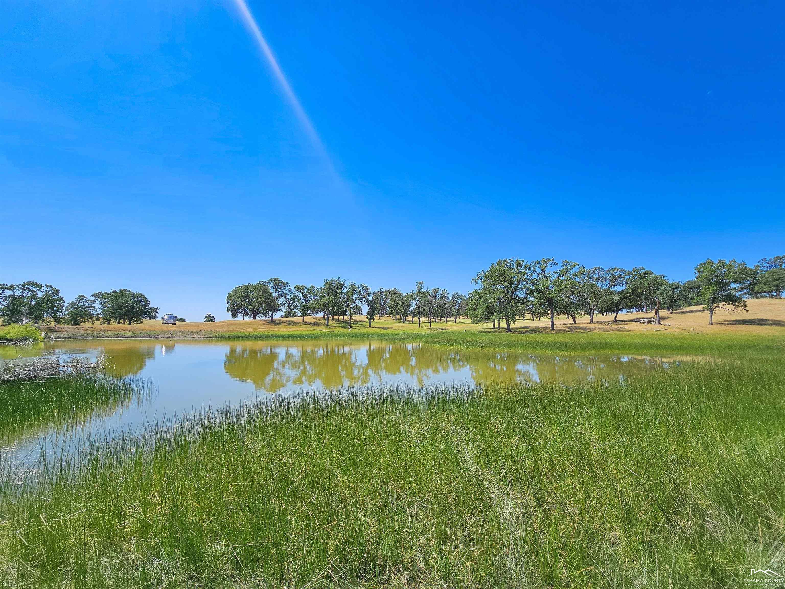 0 Jellys Ferry Road Red Bluff, CA 96080 - Photo 1 of 24 Gallery Image 1