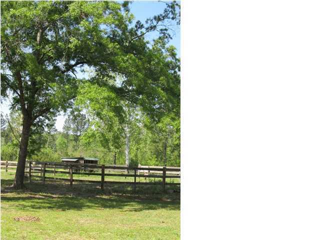 189 Mims Road Harleyville, SC 29448 - Photo 20 of 21 Additional Photo