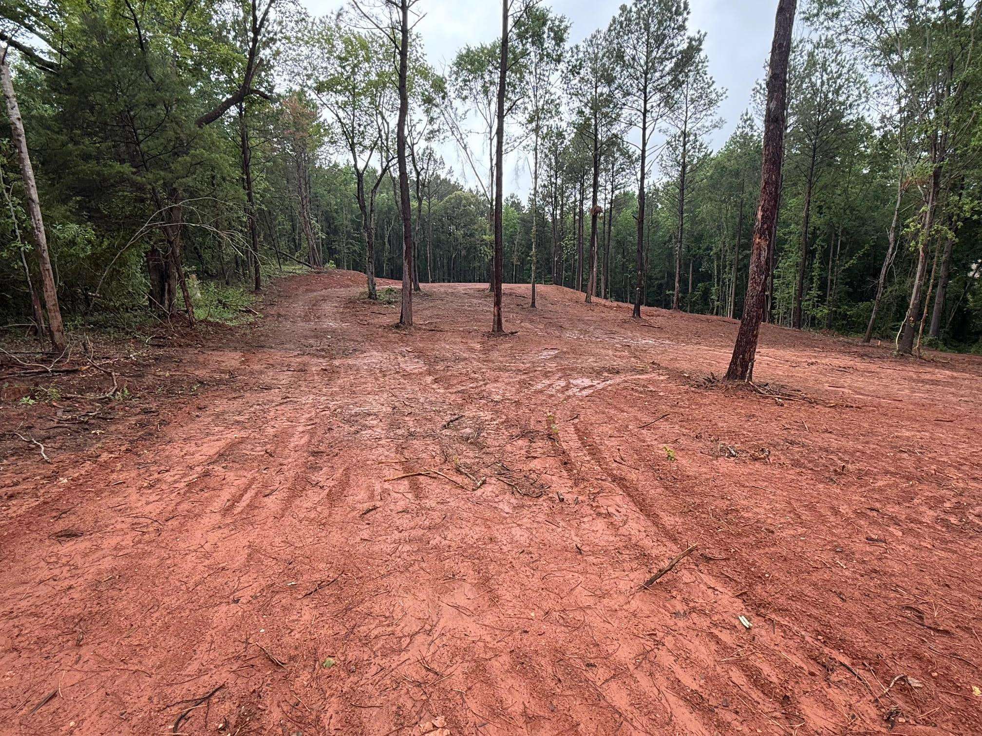 0 Ridgeville Church Road Inman, SC 29349 - Photo 6 of 14