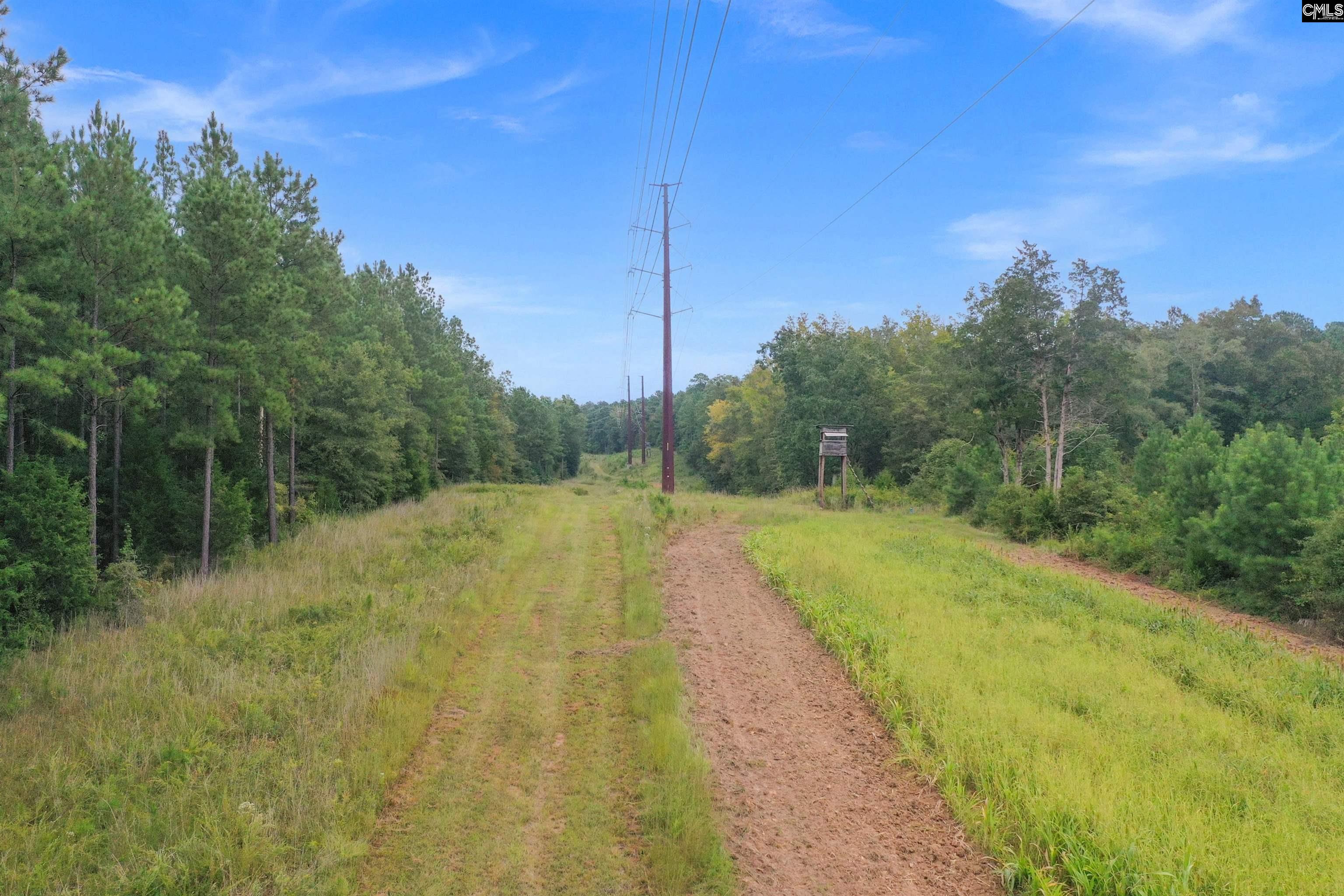 0 Penner Road, Unit 10 Jenkinsville, SC 29065 - Photo 14 of 43