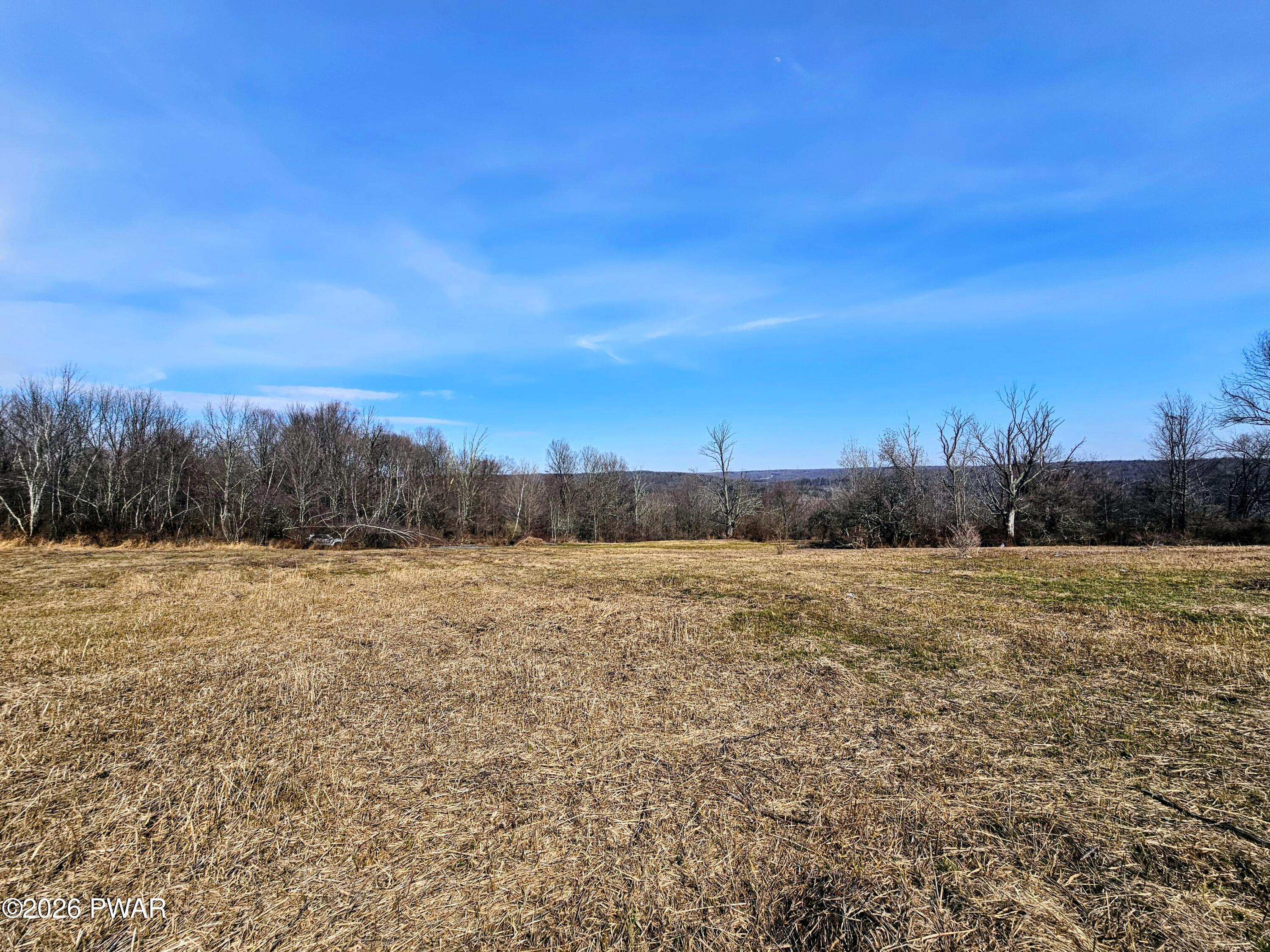 170 Zion Road Newfoundland, PA 18445 - Photo 7 of 11