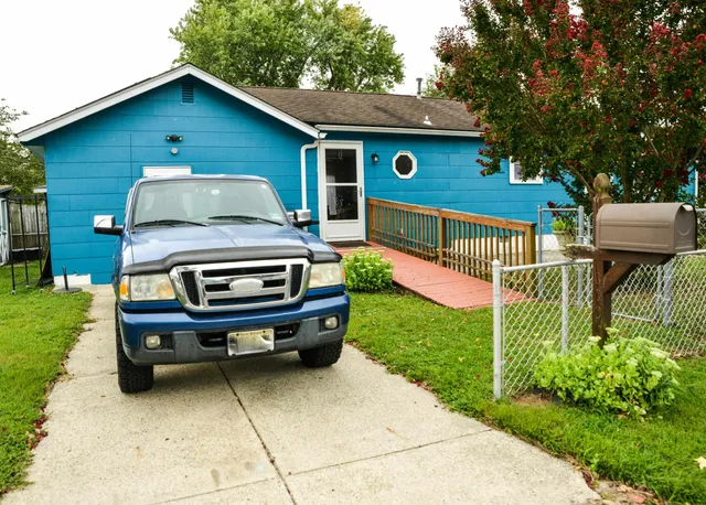 a view of backyard with a garden and plants