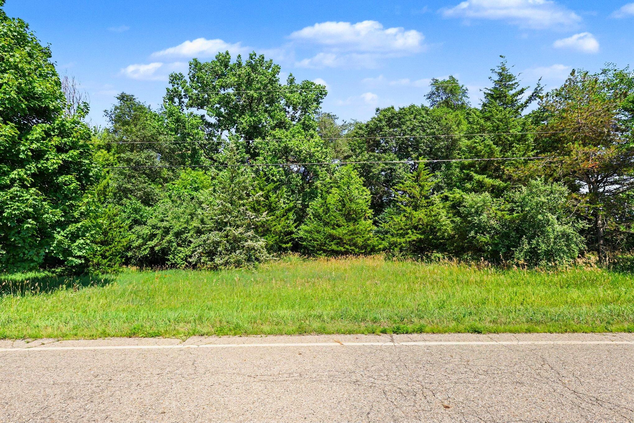 0 Maute Road Grass Lake, MI 49240 - Photo 14 of 20 14 _ VL Maute Road