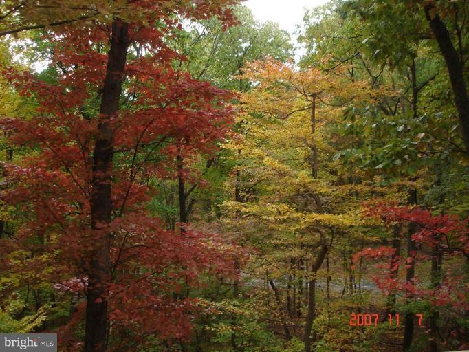 3890 Point Of Rocks Road Jefferson, MD 21755 - Photo 4 of 29 View from Unit