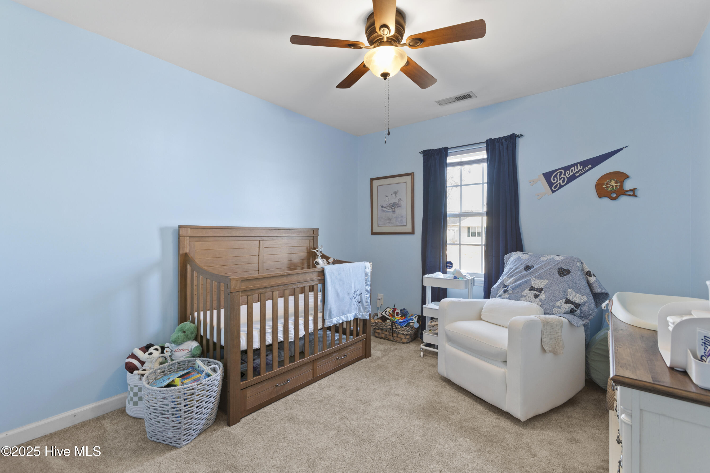 124 Eagle Ridge Drive Beulaville, NC 28518 - Photo 13 of 26 14-11