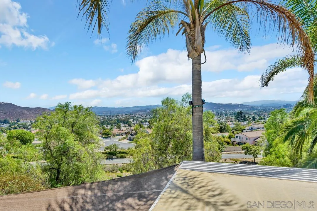 10496 Chaparral Drive Santee, CA 92071 - Photo 32 of 73 a view of a palm tree with flower plants in front of it