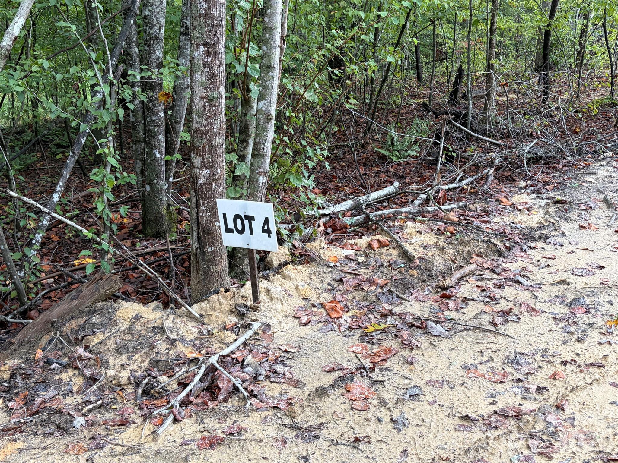 V/l West Thompson Road Rutherfordton, NC 28139 - Photo 17 of 21 Gallery Image 17