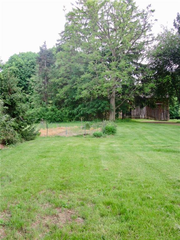 3995 Tuscarawas Road Beaver, PA 15009 - Photo 24 of 25 Side yard has apple and pear fruit trees.....garden was here too......