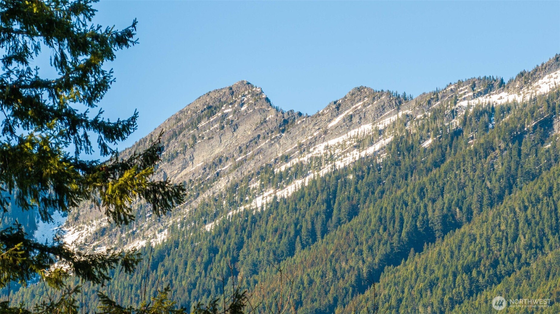 36721 Swede Heaven Road Arlington, WA 98223 - Photo 37 of 40 a view of a yard