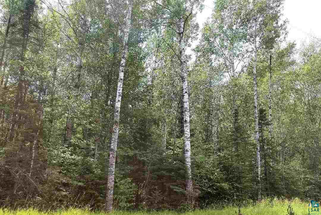 Xxx East Neuman Road Superior, WI 54880 - Photo 3 of 7 Gallery Image 3