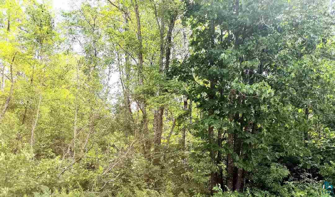 Xxx East Neuman Road Superior, WI 54880 - Photo 5 of 7 Gallery Image 5