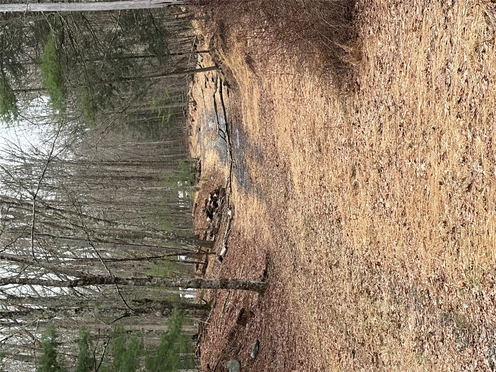 0 Red Hill Road Wurtsboro, NY 12790 - Photo 1 of 16 a view of outdoor space with trees
