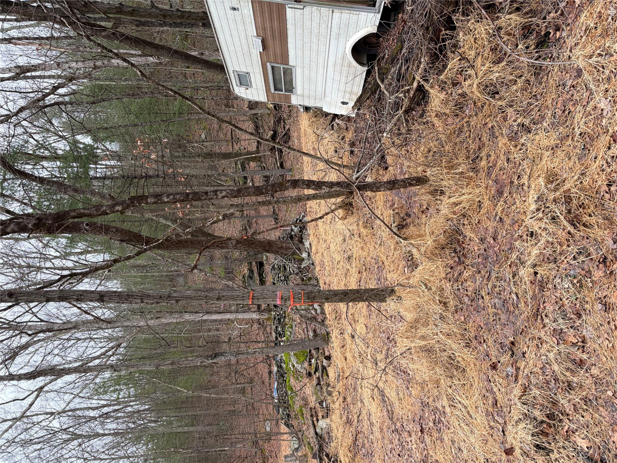 0 Red Hill Road Wurtsboro, NY 12790 - Photo 14 of 16 a view of a yard with a tree