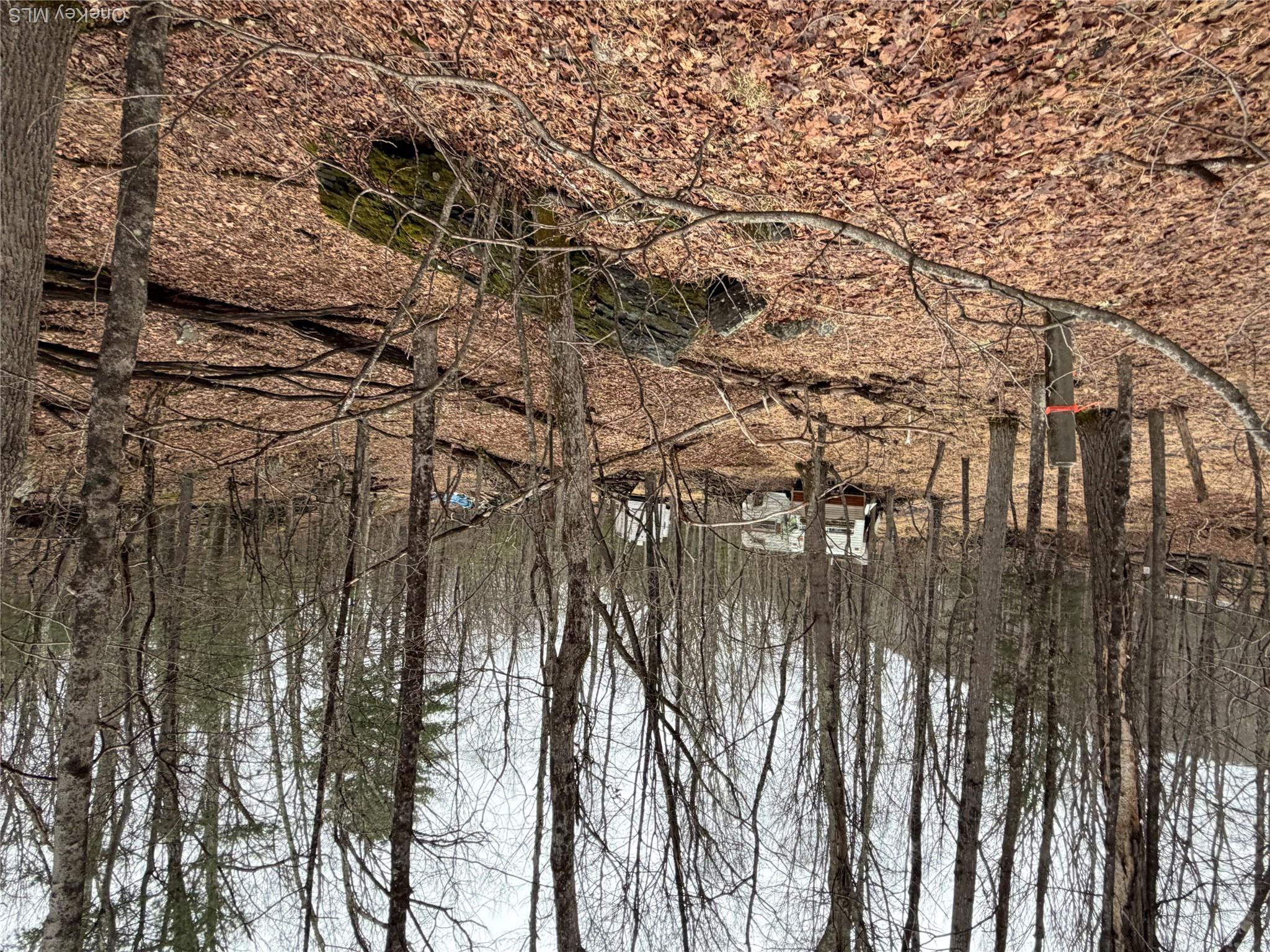 0 Red Hill Road Wurtsboro, NY 12790 - Photo 16 of 16 a view of outdoor space with lots of trees