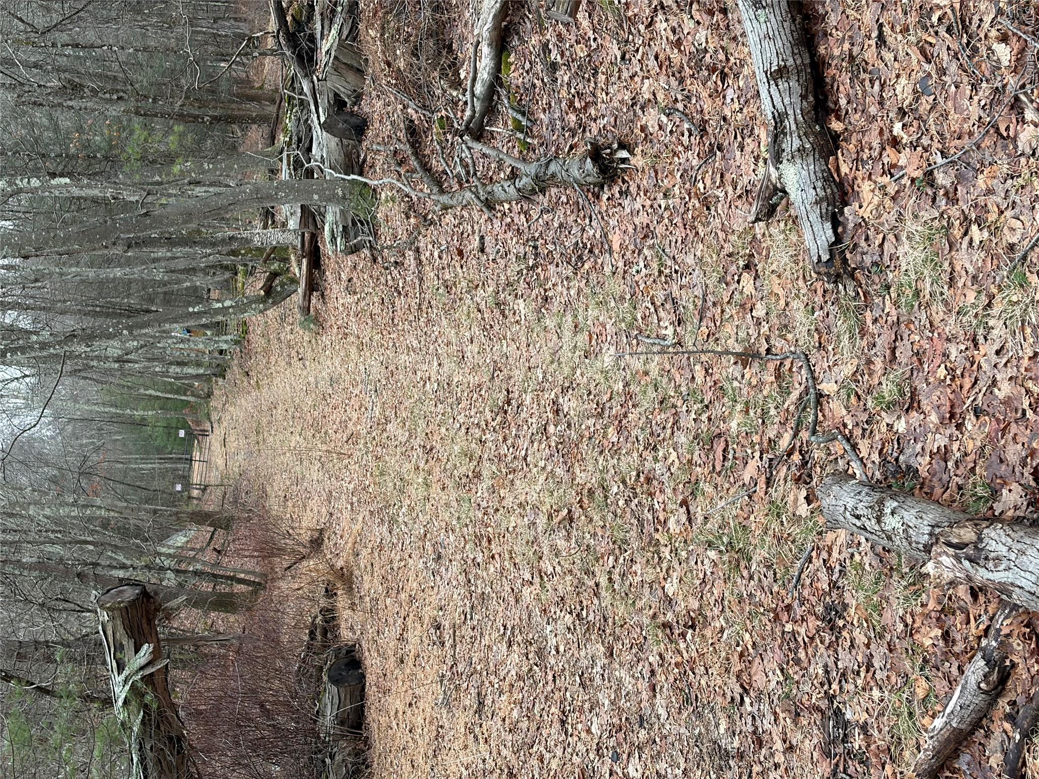 0 Red Hill Road Wurtsboro, NY 12790 - Photo 4 of 16 a view of a backyard of a house