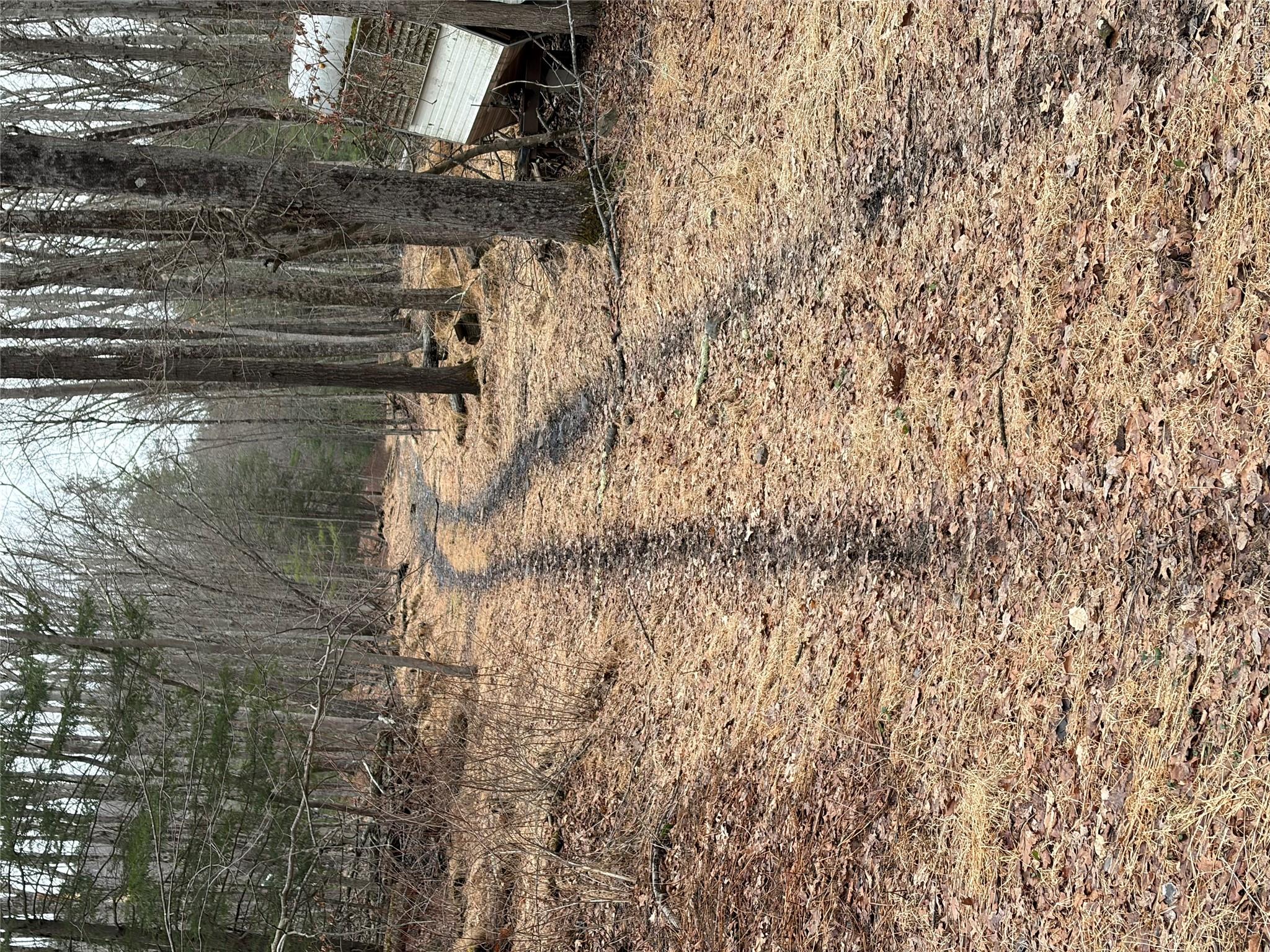 0 Red Hill Road Wurtsboro, NY 12790 - Photo 5 of 16 a view of a backyard with green space