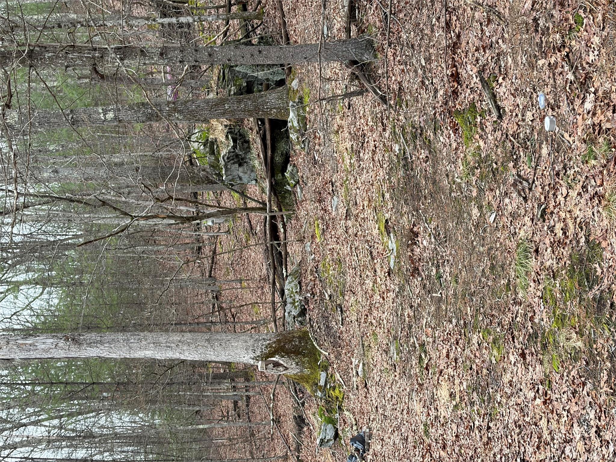 0 Red Hill Road Wurtsboro, NY 12790 - Photo 8 of 16 a view of a backyard of the house