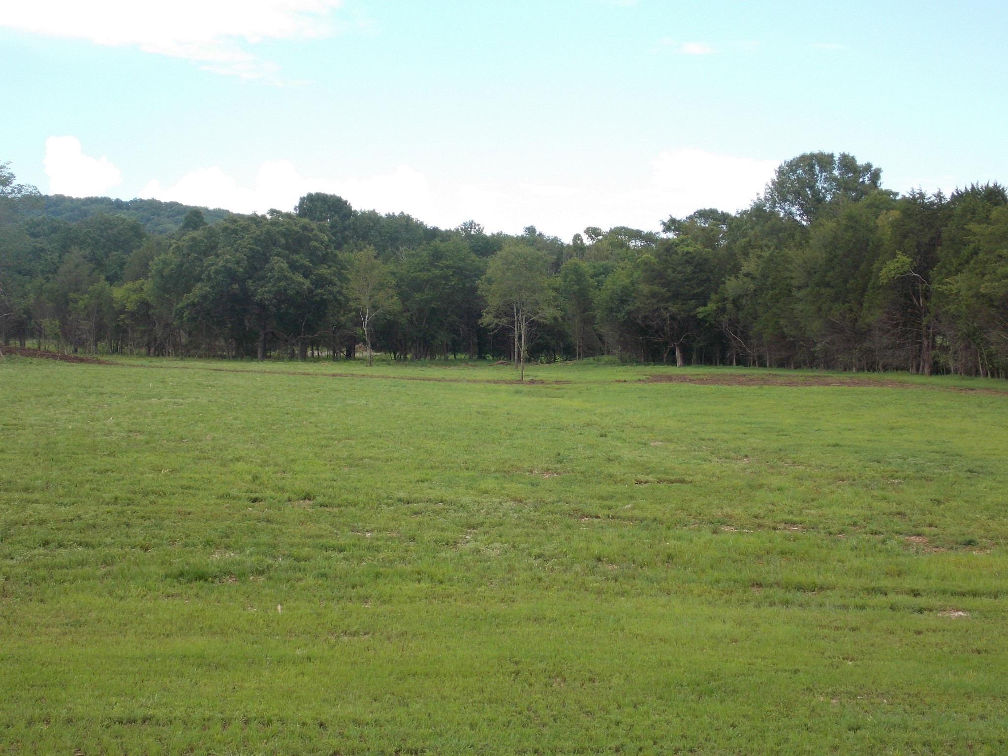 1 Thick Road Chapel Hill, TN 37034 - Photo 1 of 18 Gallery Image 1