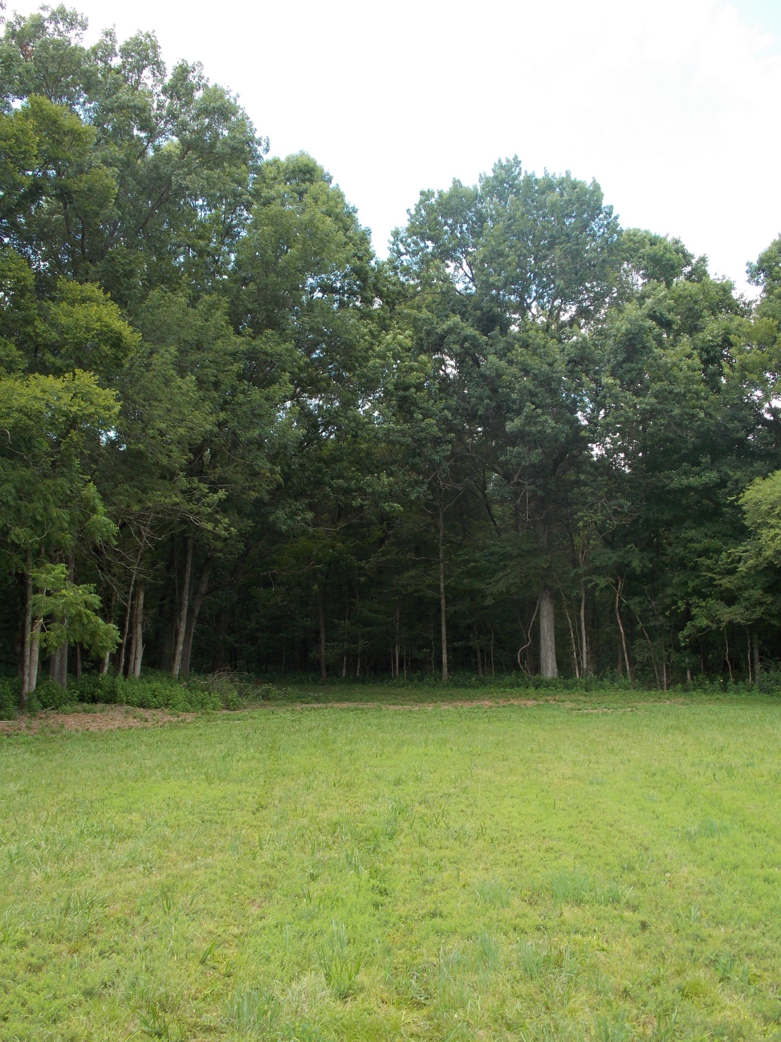 1 Thick Road Chapel Hill, TN 37034 - Photo 14 of 18 Gallery Image 14