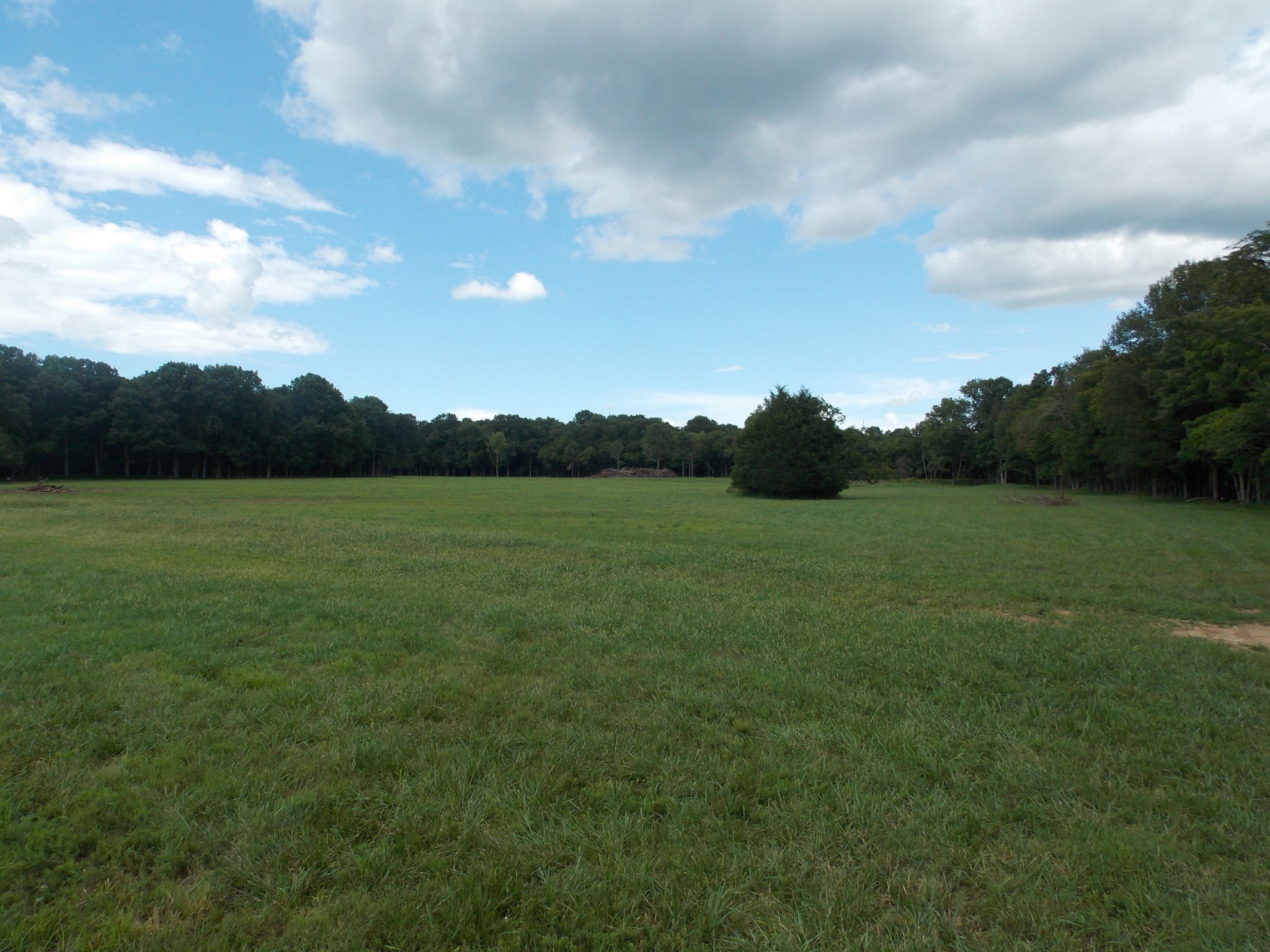 1 Thick Road Chapel Hill, TN 37034 - Photo 5 of 18 Gallery Image 5
