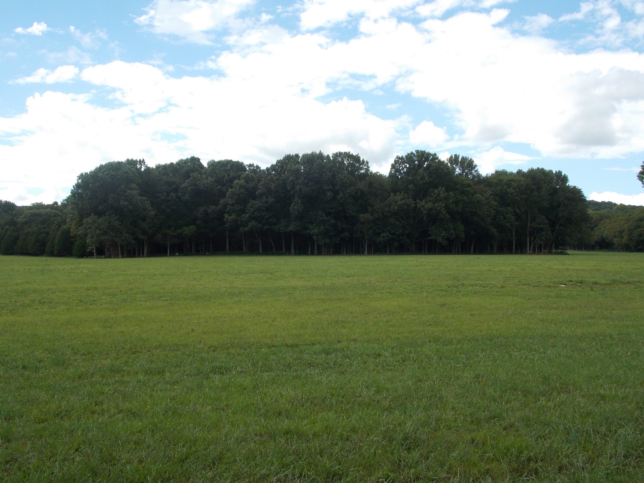1 Thick Road Chapel Hill, TN 37034 - Photo 7 of 18 Gallery Image 7