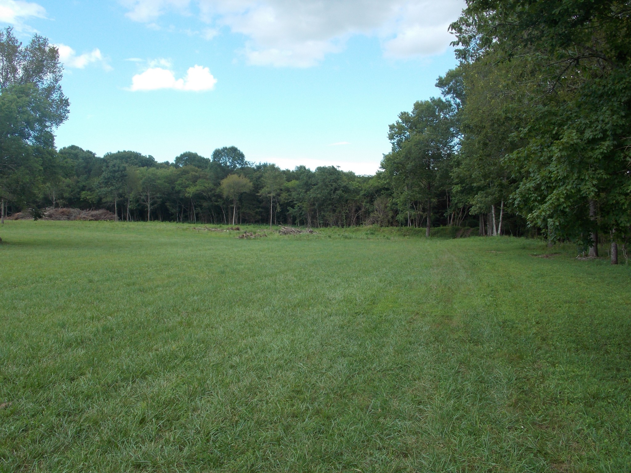 1 Thick Road Chapel Hill, TN 37034 - Photo 9 of 18 Gallery Image 9