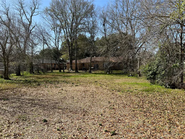 a view of a yard with a tree