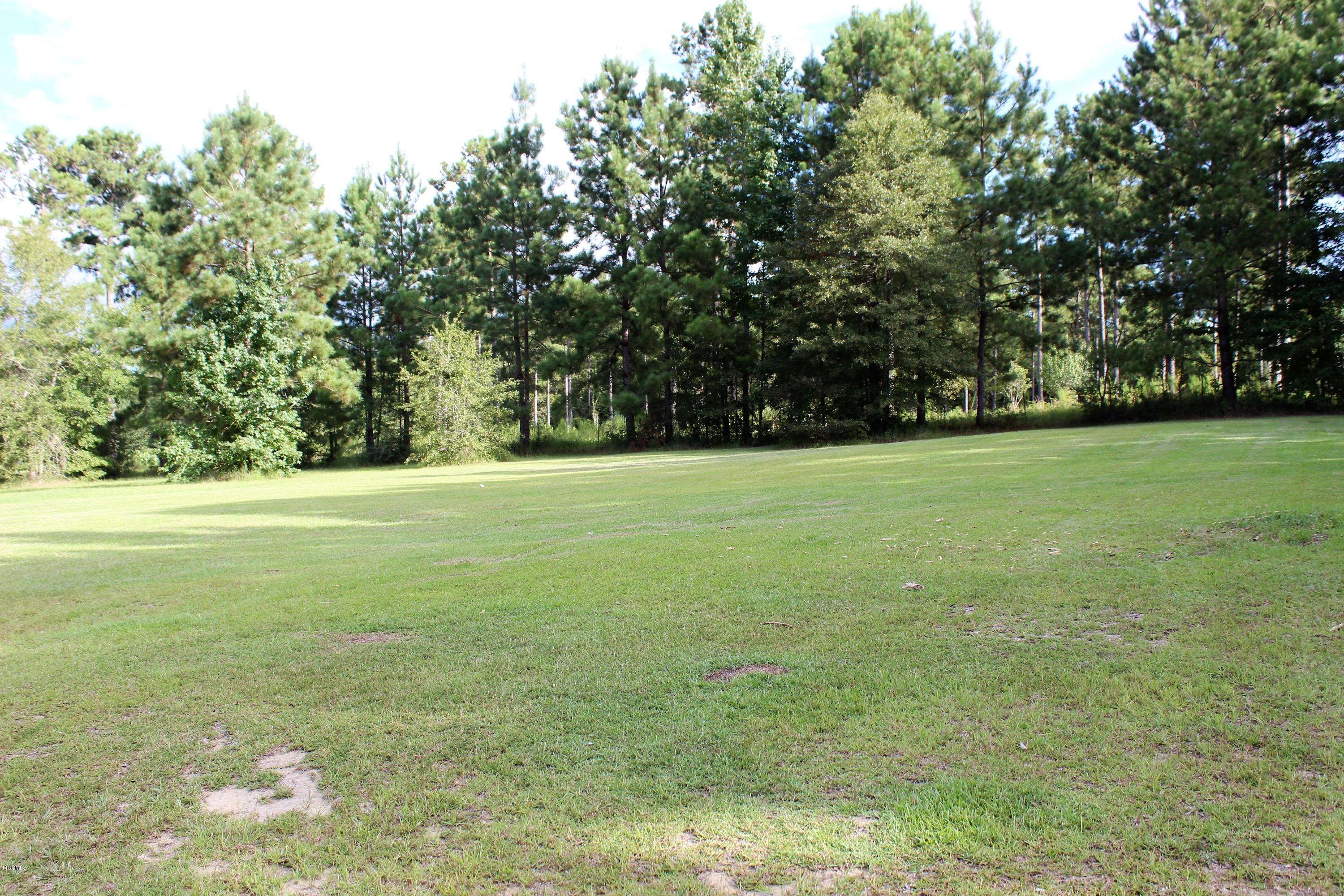 1127 Music Mountain Road Lucedale, MS 39452 - Photo 24 of 28 IMG_2344