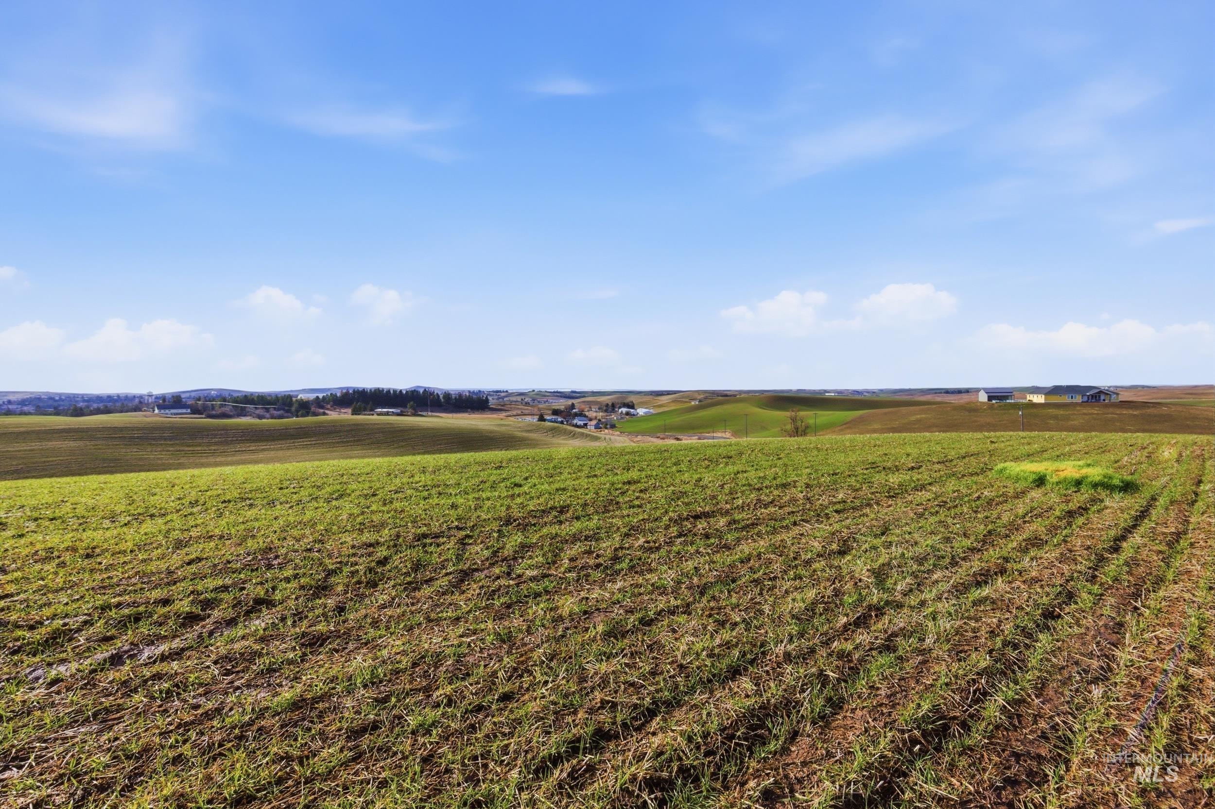 Tbd Mix Road Moscow, ID 83843 - Photo 25 of 40 View of green lawn with a rural view and agricultural plots