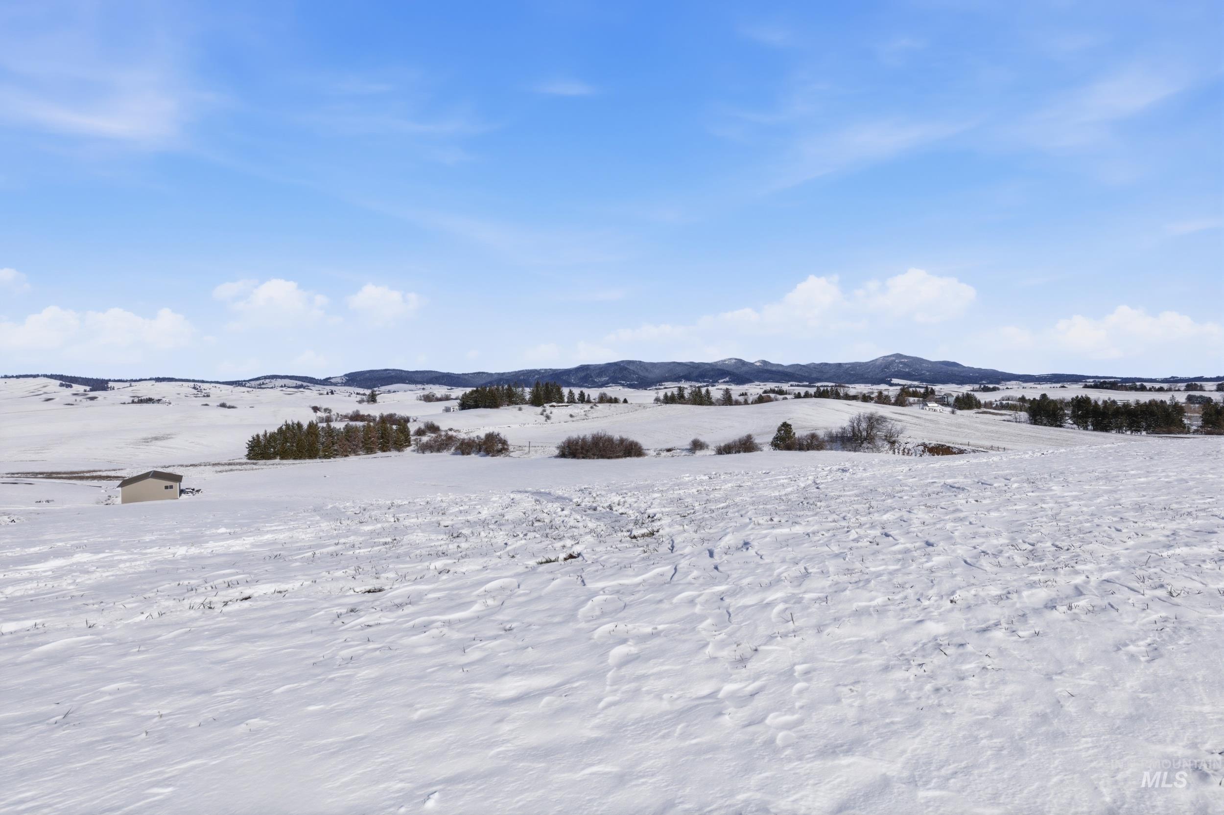 Tbd Mix Road Moscow, ID 83843 - Photo 29 of 40 View of yard with a mountain view