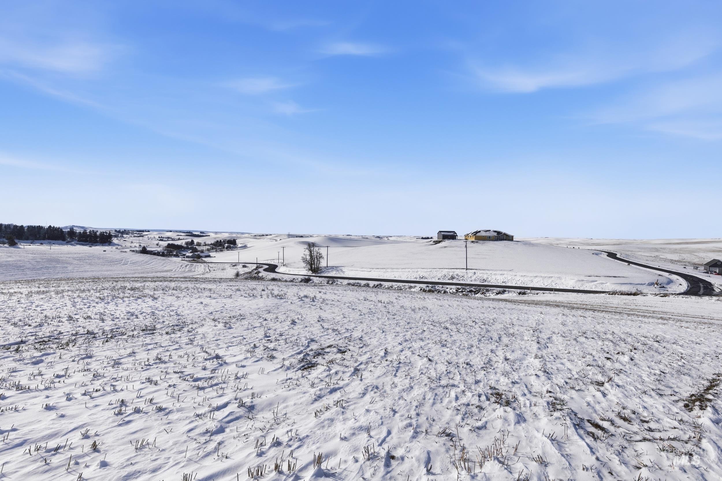 Tbd Mix Road Moscow, ID 83843 - Photo 34 of 40 View of yard layered in snow