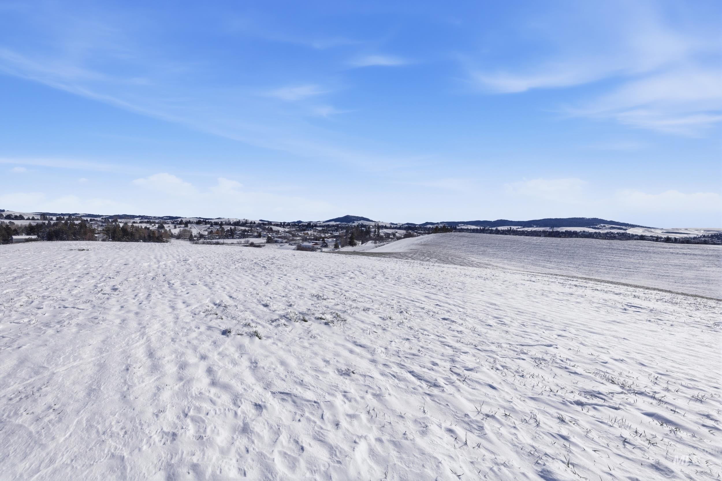 Tbd Mix Road Moscow, ID 83843 - Photo 39 of 40 View of yard covered in snow