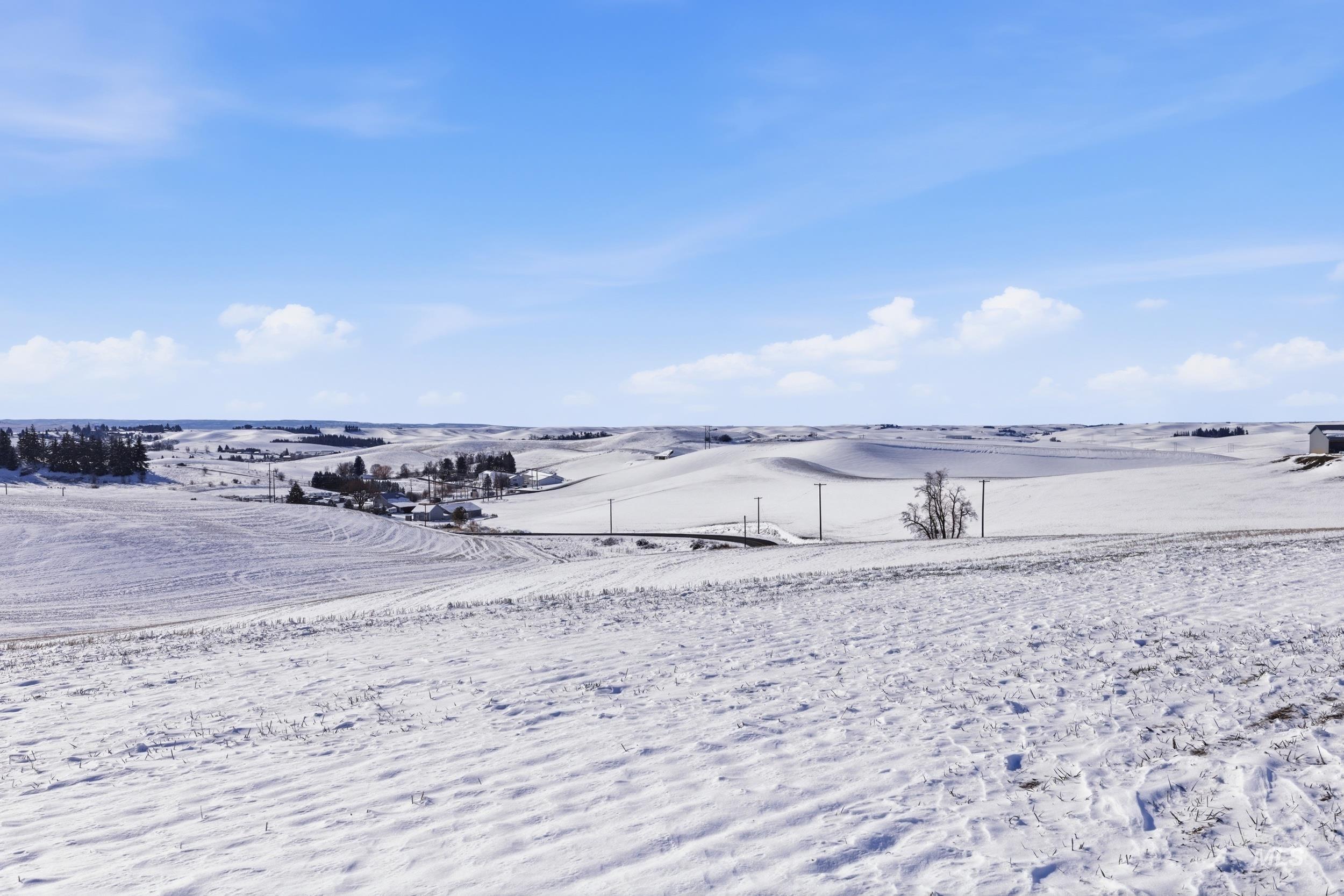Tbd Mix Road Moscow, ID 83843 - Photo 40 of 40 View of yard