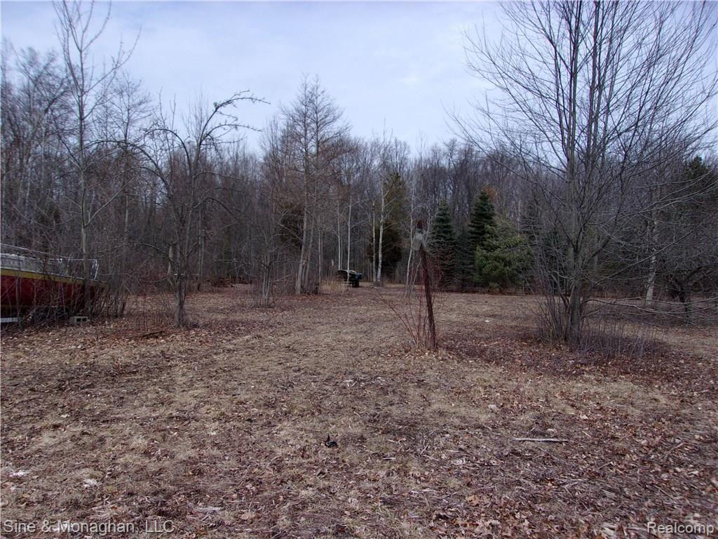 6856 Swartout Road Algonac, MI 48001 - Photo 31 of 33 100_1196.JPG
