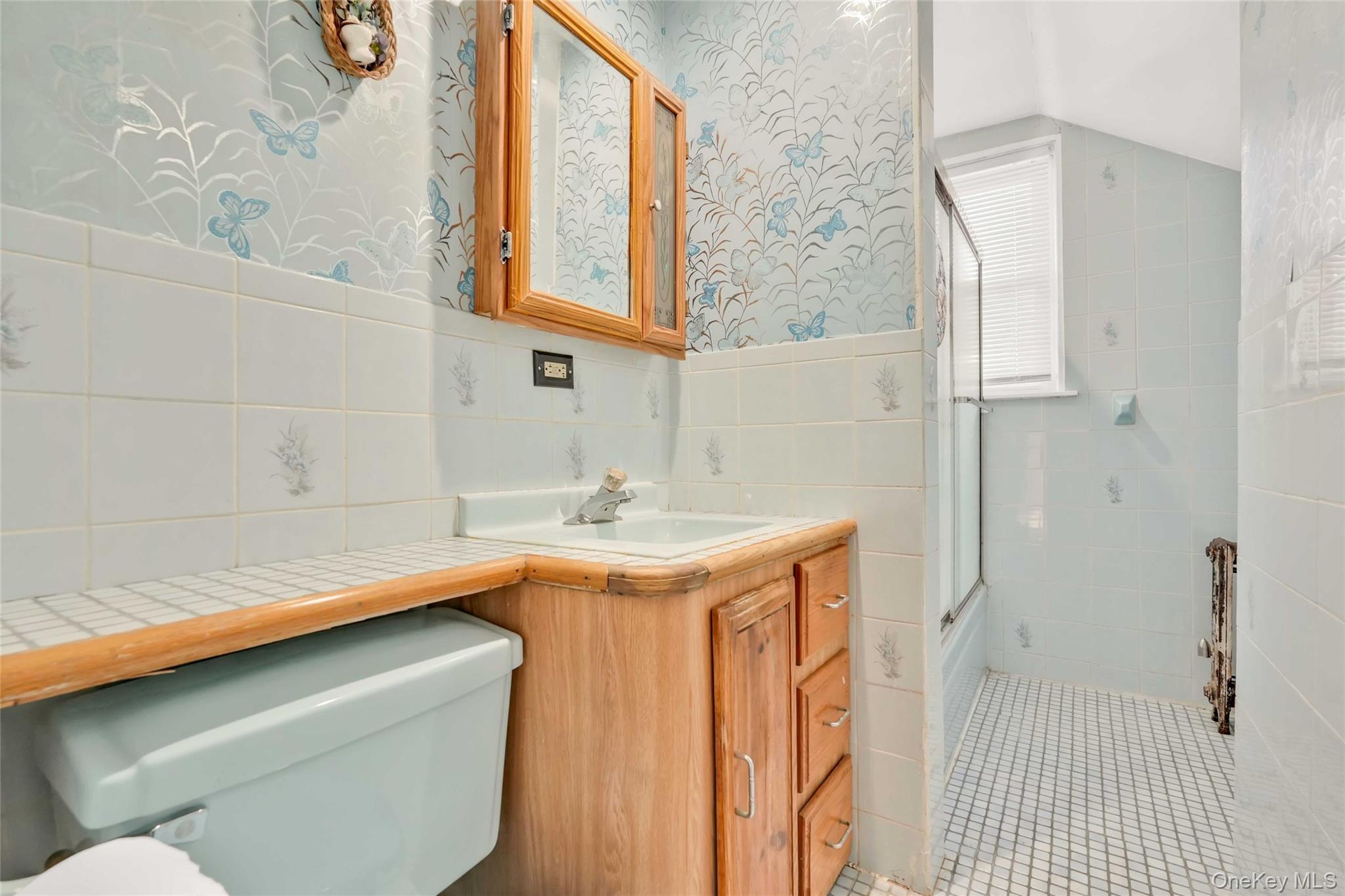 194 Crystal Street Brooklyn, NY 11208 - Photo 10 of 16 a bathroom with a sink and a mirror