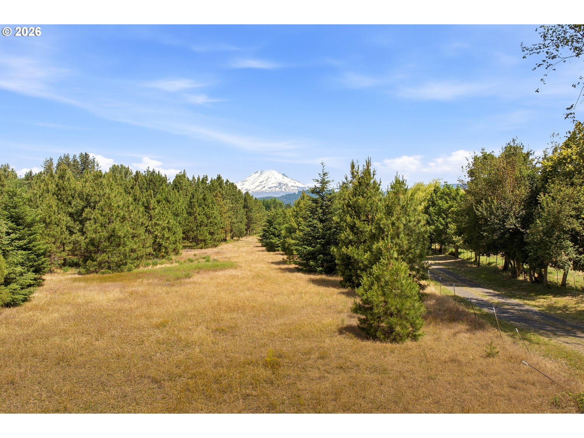 610 Sunnyside Road Trout Lake, WA 98650 - Photo 5 of 47