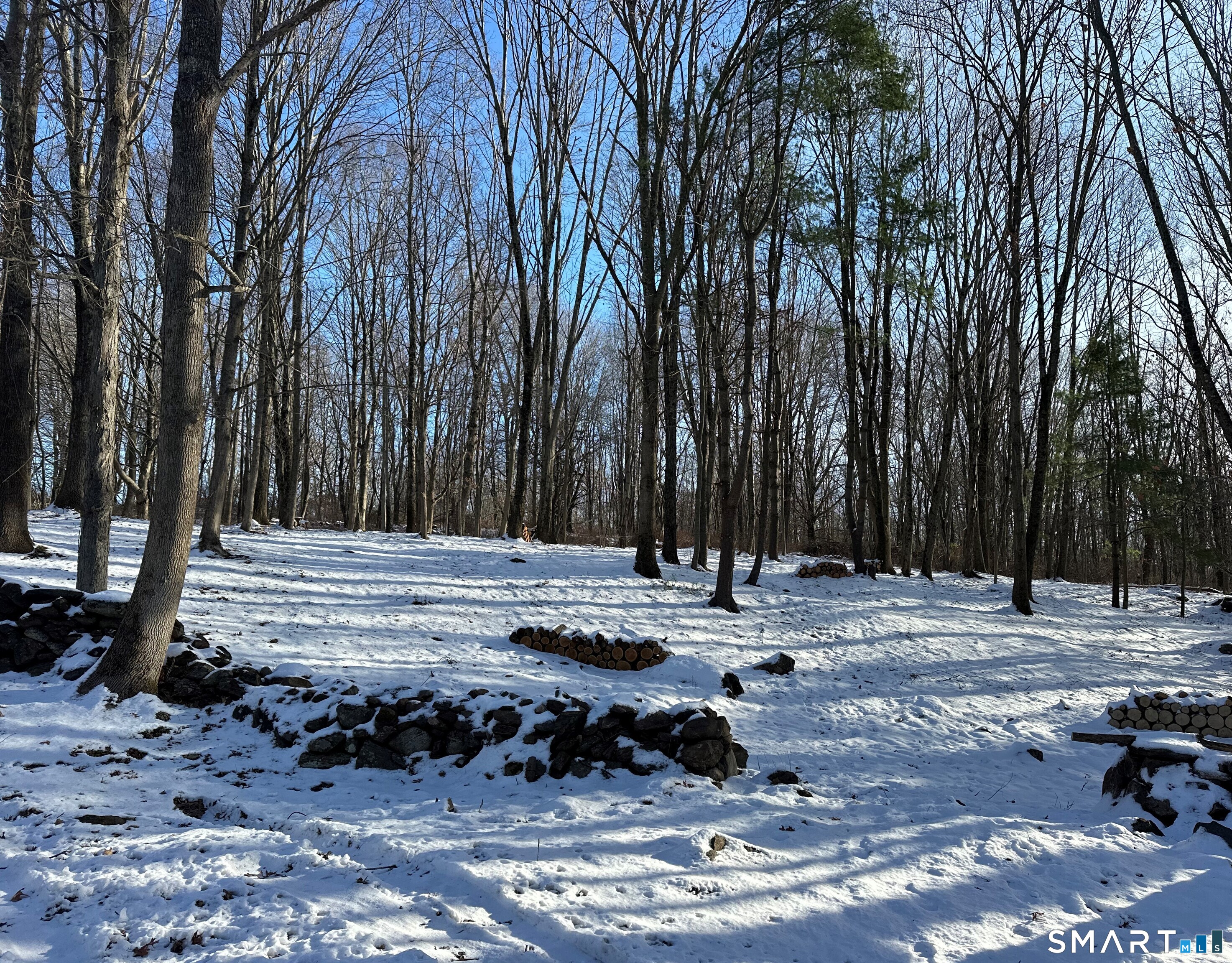 0 Sackett Hill Road Warren, CT 06754 - Photo 2 of 8 a view of a backyard with large trees