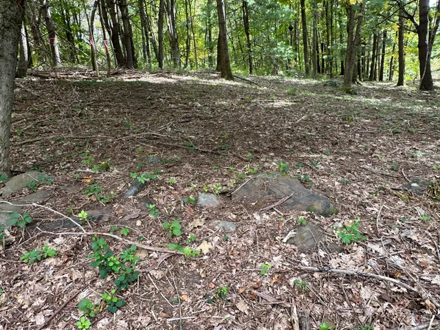 a fire hydrant in the middle of a field