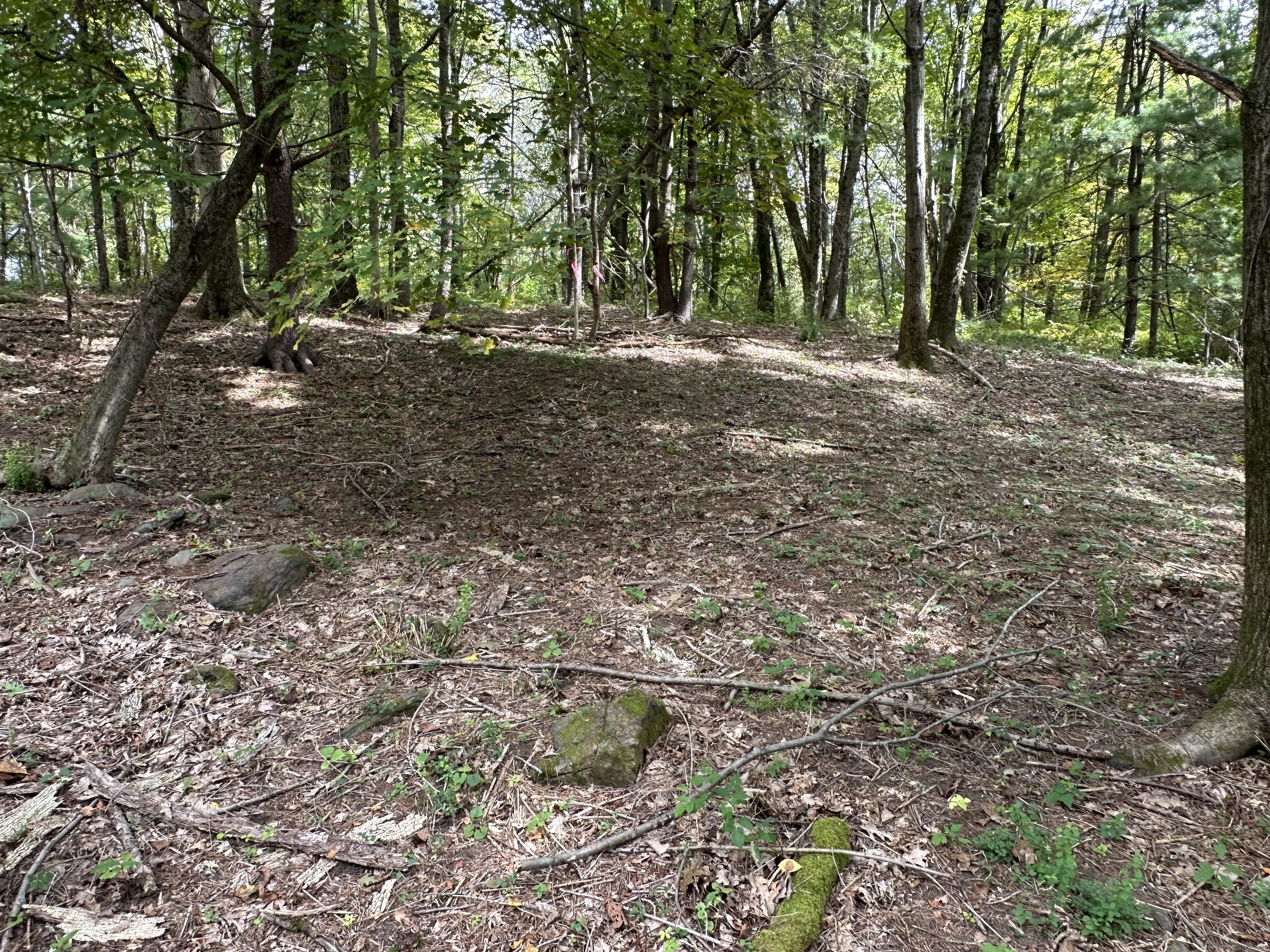 0 Sackett Hill Road Warren, CT 06754 - Photo 5 of 8 a view of a yard with a tree