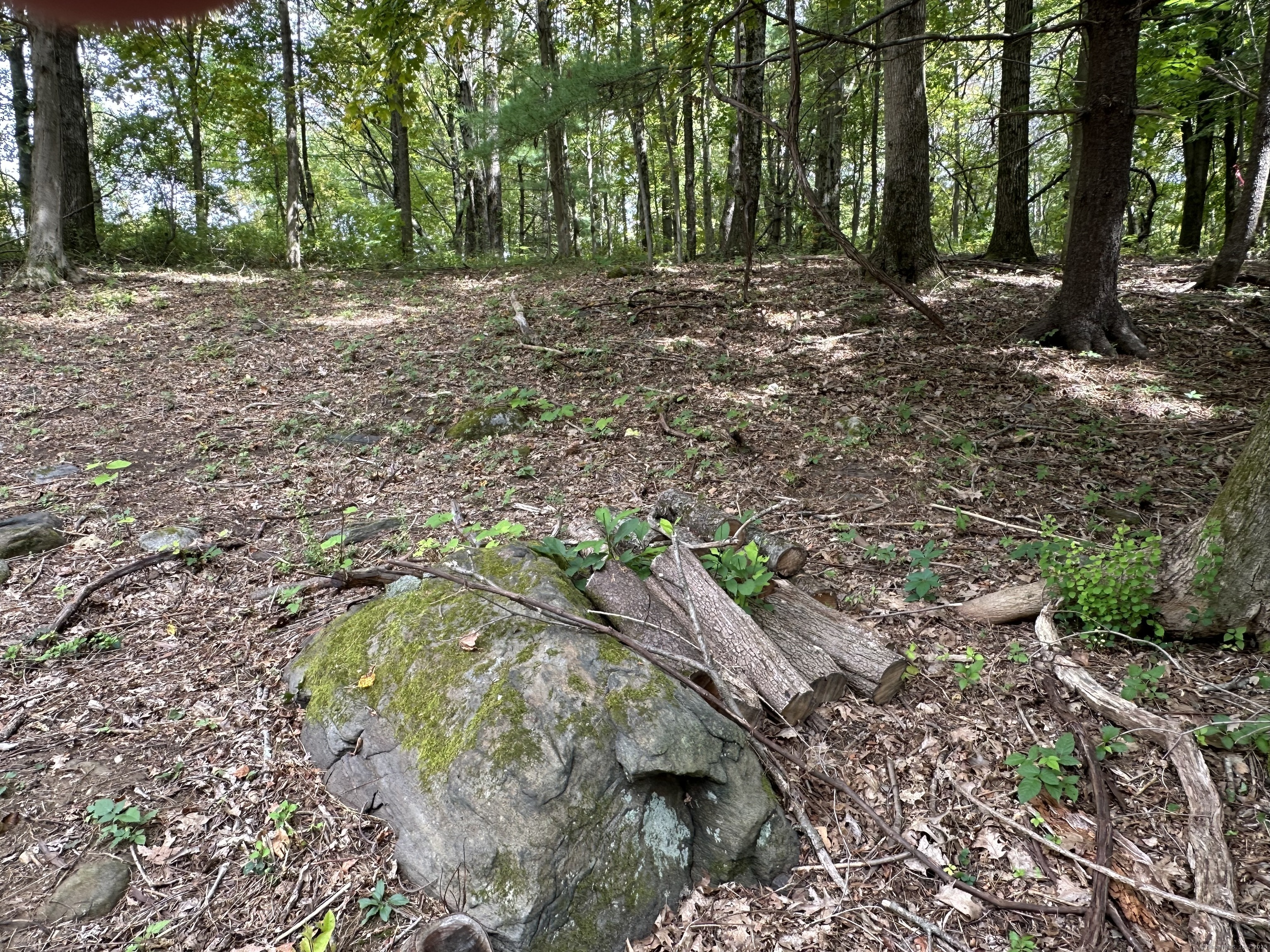 0 Sackett Hill Road Warren, CT 06754 - Photo 6 of 8 a view of outdoor space with trees