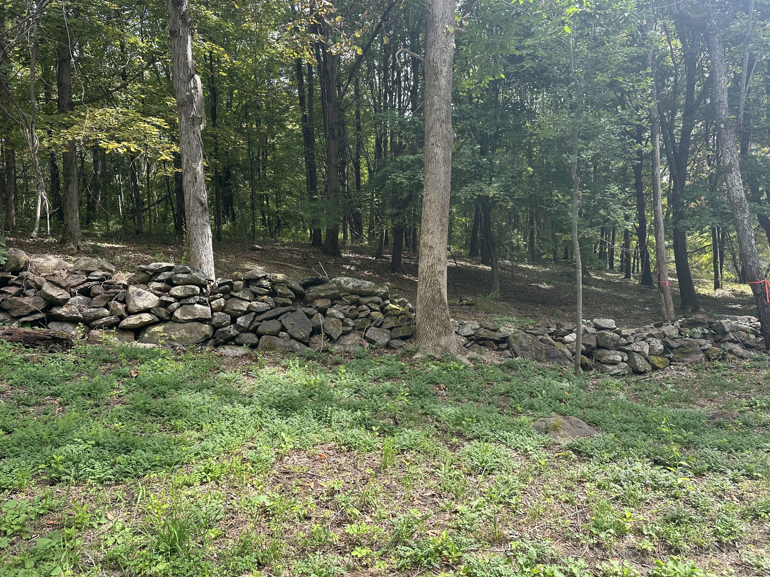0 Sackett Hill Road Warren, CT 06754 - Photo 7 of 8 a backyard of a house with lots of green space