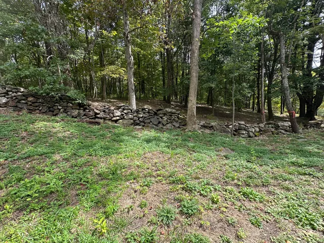 a view of a park that has large trees