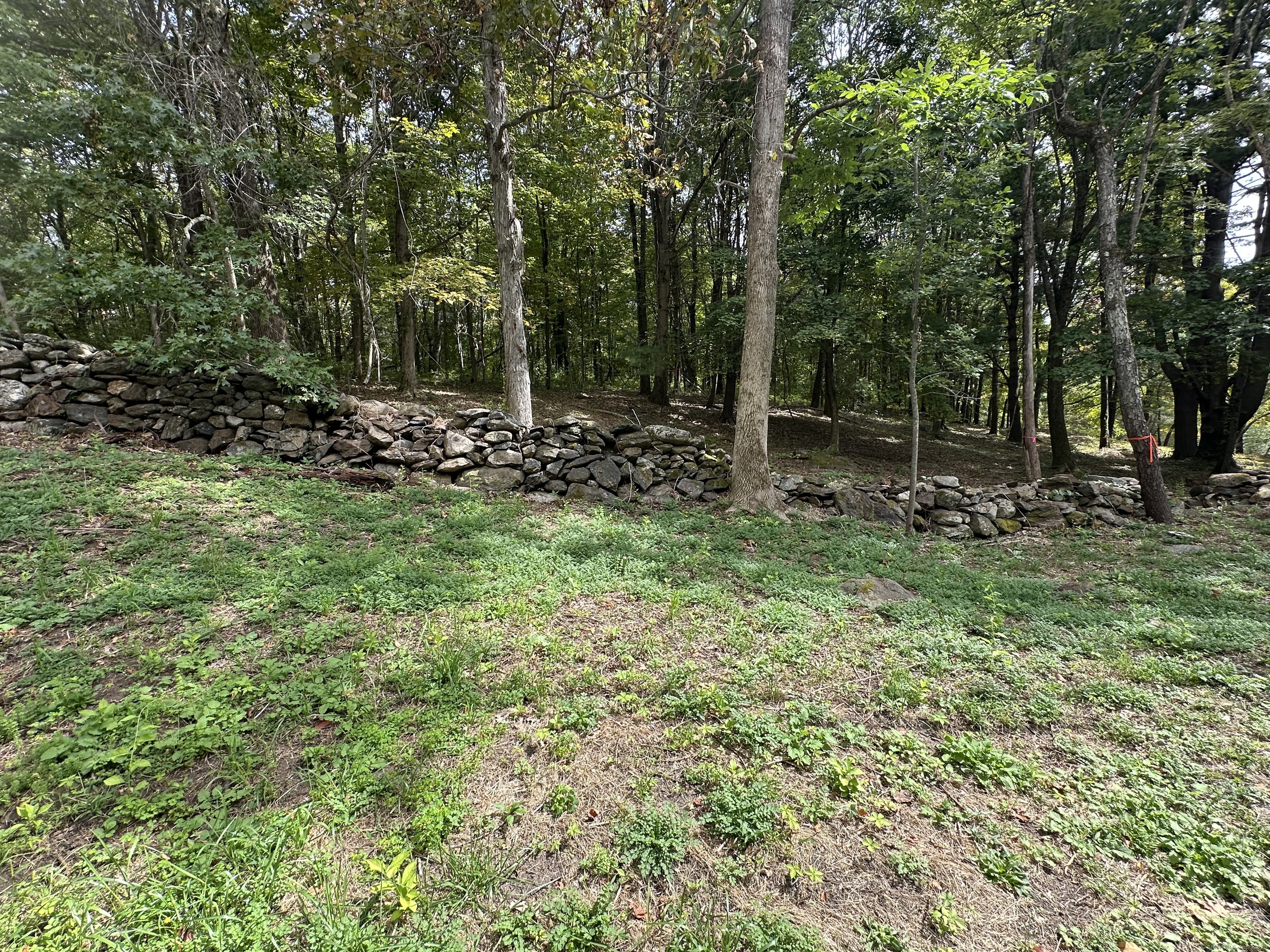 0 Sackett Hill Road Warren, CT 06754 - Photo 8 of 8 a view of a park that has large trees