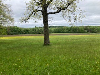 0 Warner Road Kennerdell, PA 16374 - Photo 7 of 13 a view of an ocean from a yard