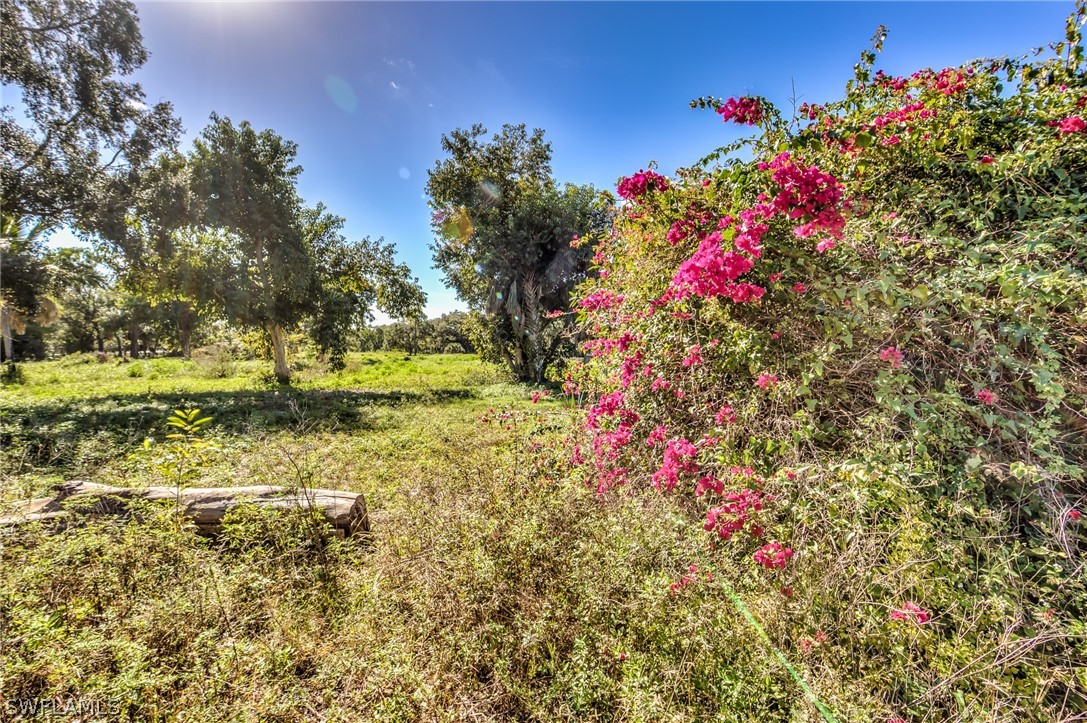 5431 Park Road Fort Myers, FL 33908 - Photo 22 of 25 Gallery Image 22