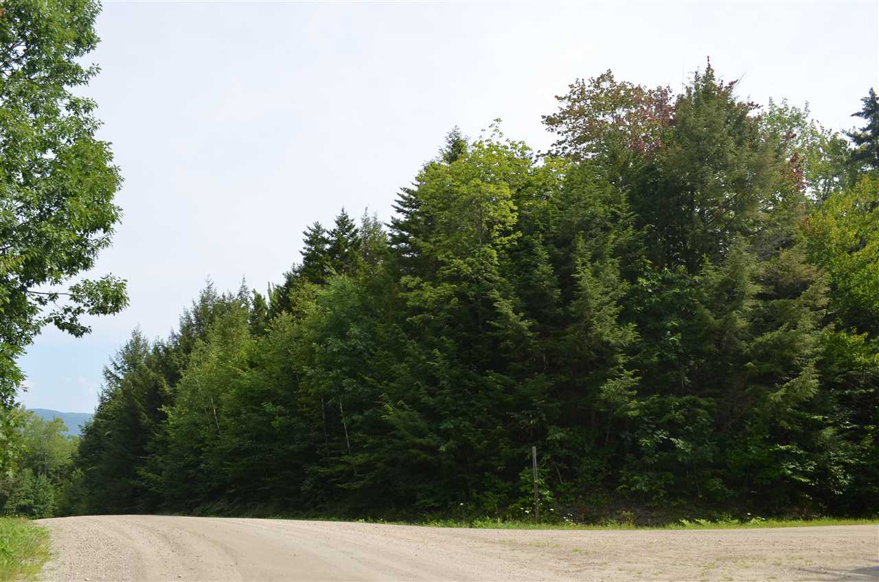 North Ridge Road Ludlow, VT 05149 - Photo 2 of 17