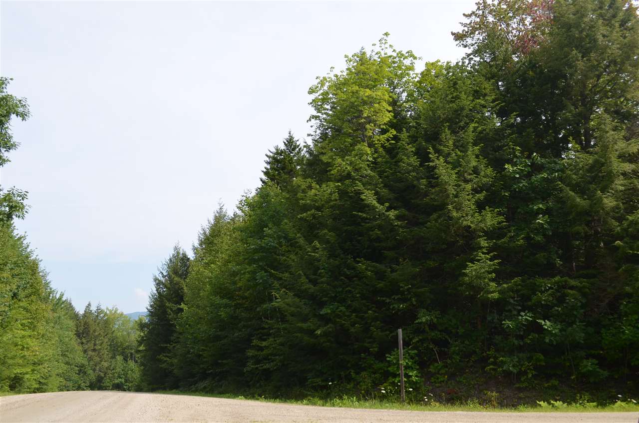 North Ridge Road Ludlow, VT 05149 - Photo 4 of 17